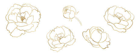 Watercolor golden and white peony flowers illustration isolated. Romantic floral Elements for wedding stationary, greetings cards. Sparkling golden outline and white flowersの写真素材