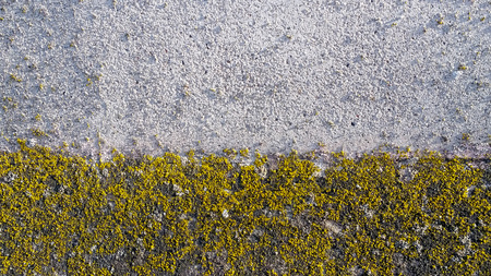 cement walls, concrete, backgrounds, texture for the designの写真素材