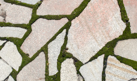 stone plate roof with moss