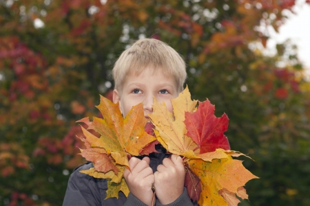 Happy kid and autumn  in a park の写真素材