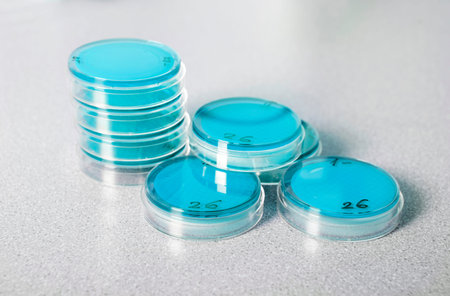  Petri cup on table  Bacteriological environment of blue color