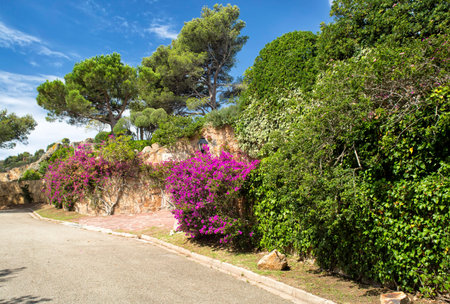 Street in Spain.の写真素材