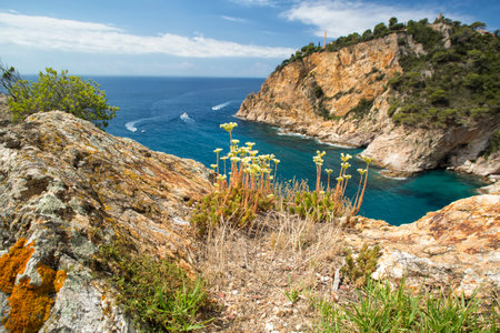 Sea lagoon from above. Europe. Spain.の写真素材
