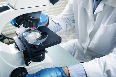 Photo of a professional microscope close-up with chemist scientific researcher hands using microscope in the laboratory interior.の写真素材