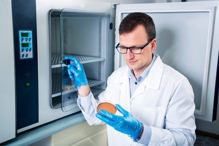 Microbiologist hand cultivating a petri dish whit inoculation loops, beside autoclave for...