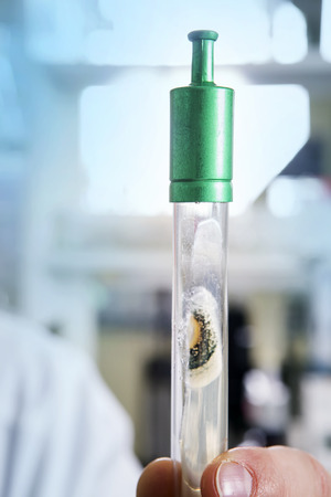 Test tube with mold at the laboratory. Scientific and healthcare research concept.の写真素材