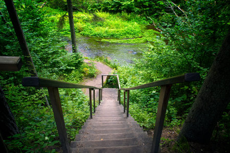 Old wooden ladder. Descent from the wood to the river