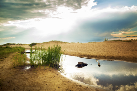 Beautiful summer landscape of the coast of the Baltic Seaの写真素材