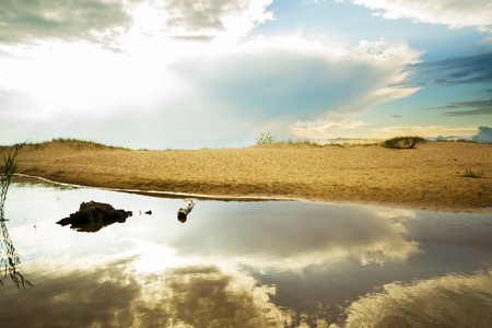Beautiful summer landscape of the coast of the Baltic Seaの写真素材