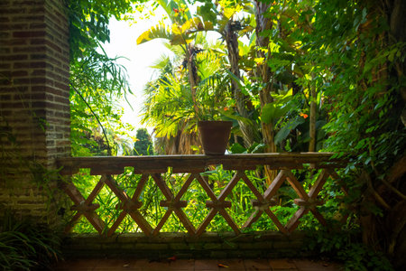 A dark patio opening up to a garden  の写真素材
