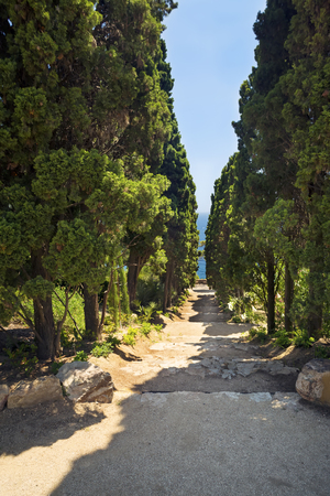 Long ancient stone staircase descends at the sea along the treesの写真素材