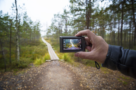 Big swamp wetlands Kemeri national park, Latvia. Person shoots a landscape with the camera. Travel conceptの写真素材