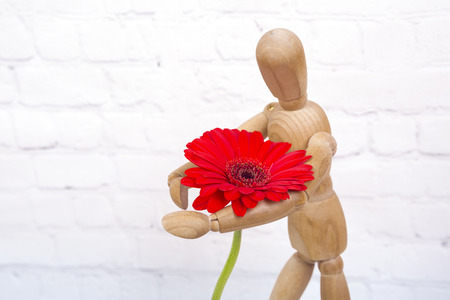 Wooden mannequin trying to represent human movements in moving actions isolated on a white background. Anatomical model hugs a beautiful red flower.の写真素材