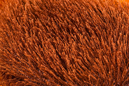 Texture of bright brown faux fur.Macro shot