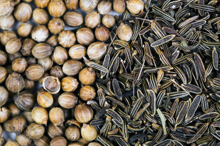 Coriander and cumin seeds background. Macro shot.