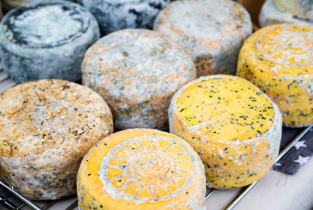 Handmade local cheese assortment, on a fair of traditional products,in Klaipeda, Lithuania