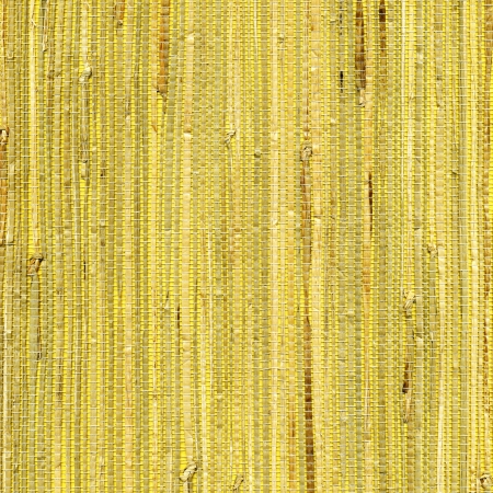 bamboo wallpaper textureの写真素材