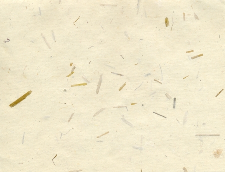 Handmade beige rice paper textureの写真素材