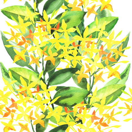Stylish flowers illustration, watercolor paintingの写真素材