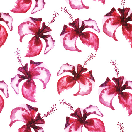 Watercolor painting of mulberry flower.の写真素材