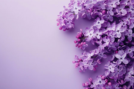 Lilac flowers backgroundの素材
