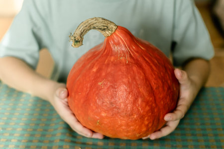 Hands of a child holding a large red pumpkin. Selective focus.の写真素材