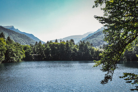 Landscape view of the lake and forest in the mountains. Switzerlandの写真素材