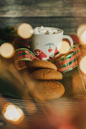 Cup of hot cocoa with marshmallow, cookies and Christmas decorations on wooden backgroundの写真素材