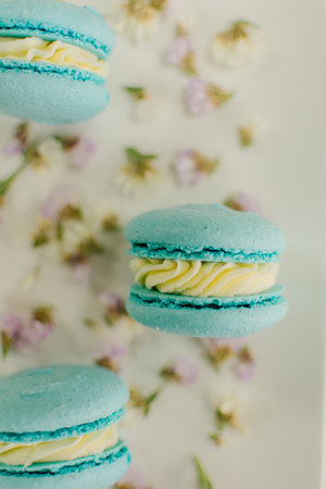 Colorful macaroons on white background. Pastel colors.の写真素材