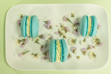 Colorful macaroons on white plate with flower petals.の写真素材