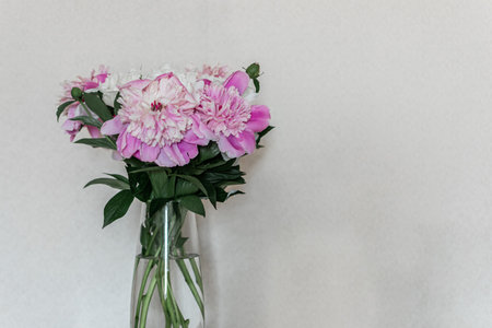 bouquet of pink peonies in vase on white backgroundの写真素材
