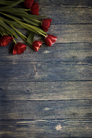 bouquet of tulips on a wooden background, space for textの写真素材