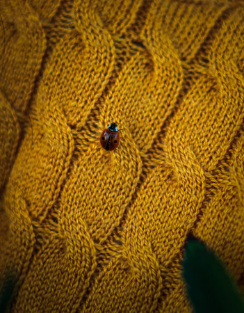 Macro shot of a ladybug sitting on a knitted scarf