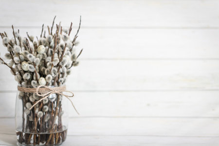 Willow branches in a vase on a white wooden background.の写真素材