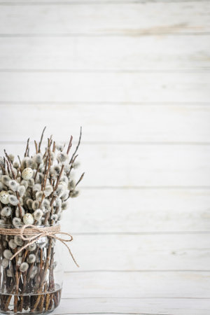 Easter postcard, fluffy willow in a glass vase, free space for text. background for Easterの写真素材