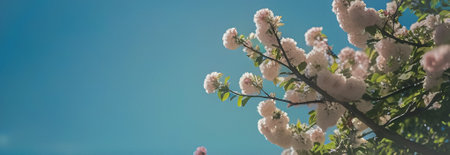 Beautiful blooming branch of a blossoming tree on a background of blue skyの素材