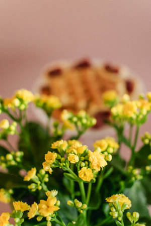 Bouquet of yellow flowers with a waffle in the backgroundの写真素材