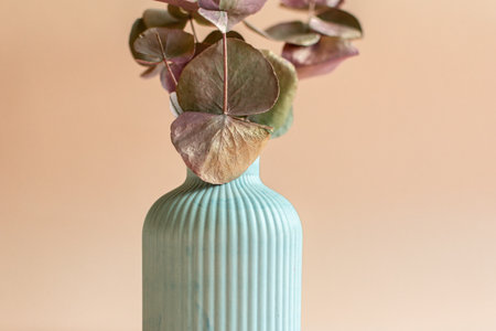 Vase with eucalyptus leaves on beige backgroundの写真素材