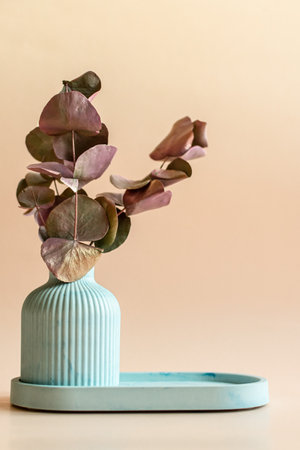 Eucalyptus in blue vase on beige backgroundの写真素材
