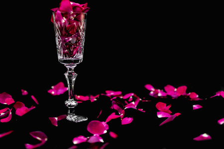 Champagne glass with rose petals on black background. Valentines day conceptの写真素材