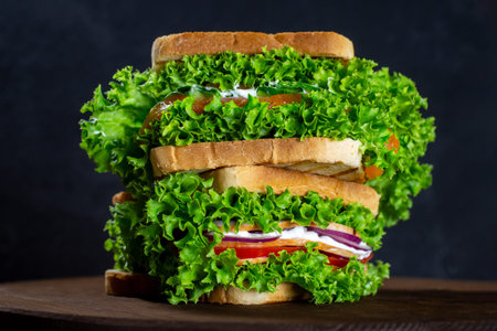 set of sandwiches with fresh salmon, ham, vegetables, salad. Home-made sandwiches. Healthy fast food. Dark background.の写真素材