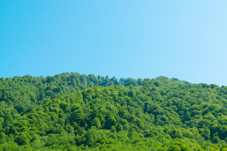 Beautiful summer mountain landscape. Green Forest. Hilly terrain. Hiking in the mountains.の写真素材