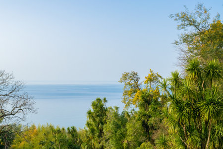 Green jungle and blue sea. Beautiful seascape. Summer natural background. Wallpaper.の写真素材