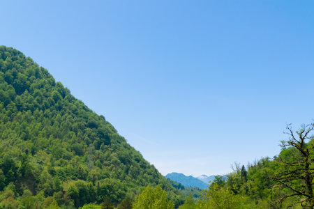 Beautiful mountain landscape. Mountain forest. Green natural background. Summer travel, hiking.の写真素材