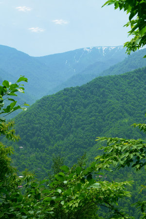 Beautiful mountain summer landscape. Green peaks of mountains and hills. Mountain valley. Natural...