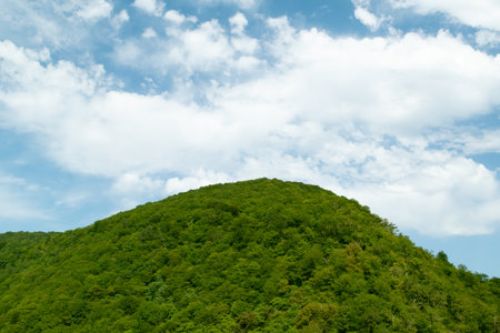 Beautiful mountain landscape. Mountain forest. Green natural background. Summer travel, hiking.の写真素材