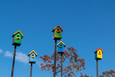 Multi-colored houses for birds. Birdhouses against the blue sky. Help the birds.の写真素材