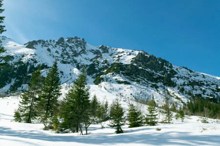Snowy mountain peaks. Beautiful winter landscape in the mountains. Stone cliffs.の写真素材