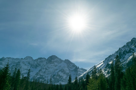 Snow-capped mountain peaks and spruce forest. Beautiful winter landscape in the mountains. Stone cliffs.の写真素材