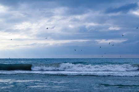 Cloudy day at sea. Waves on the beach. Bad weather.の写真素材